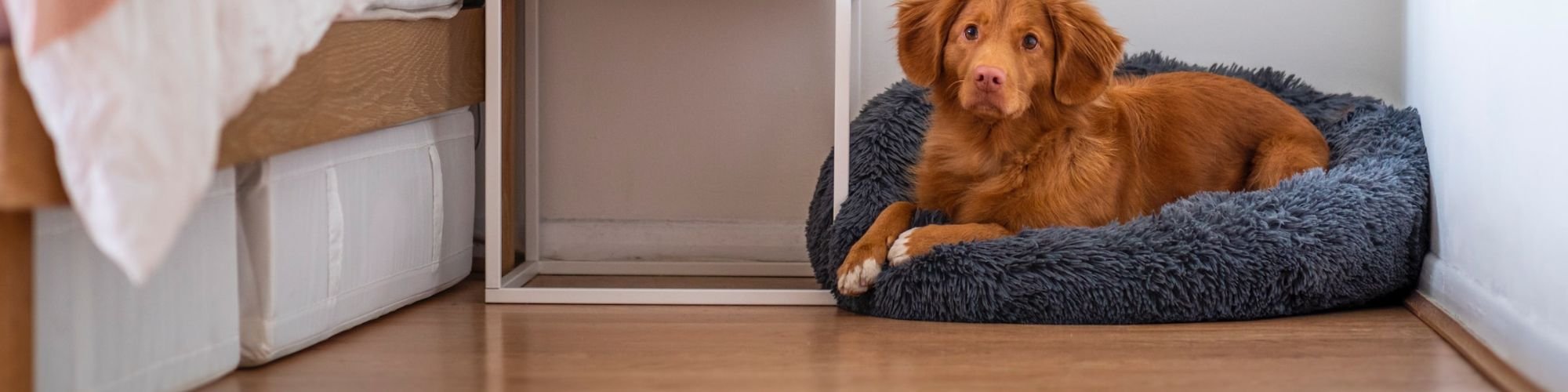 Choose from a wide variety of laminate styles from Crest Flooring