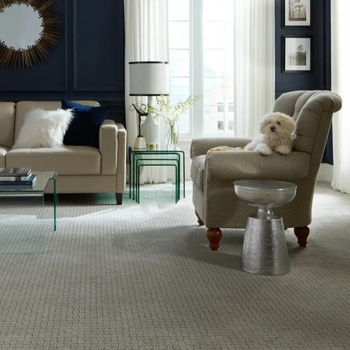 CarpetInspiration-3
