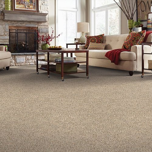 The latest carpet in Allentown, PA