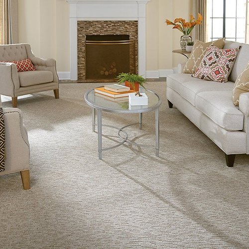Contemporary carpet in Allentown, PA