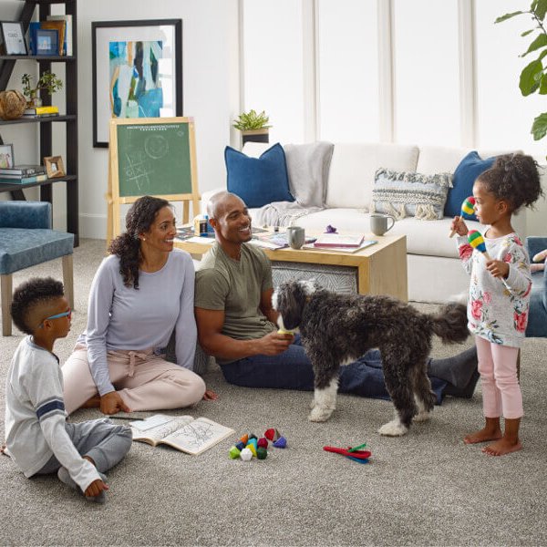 blog_524_livingroomcarpetfamilydog